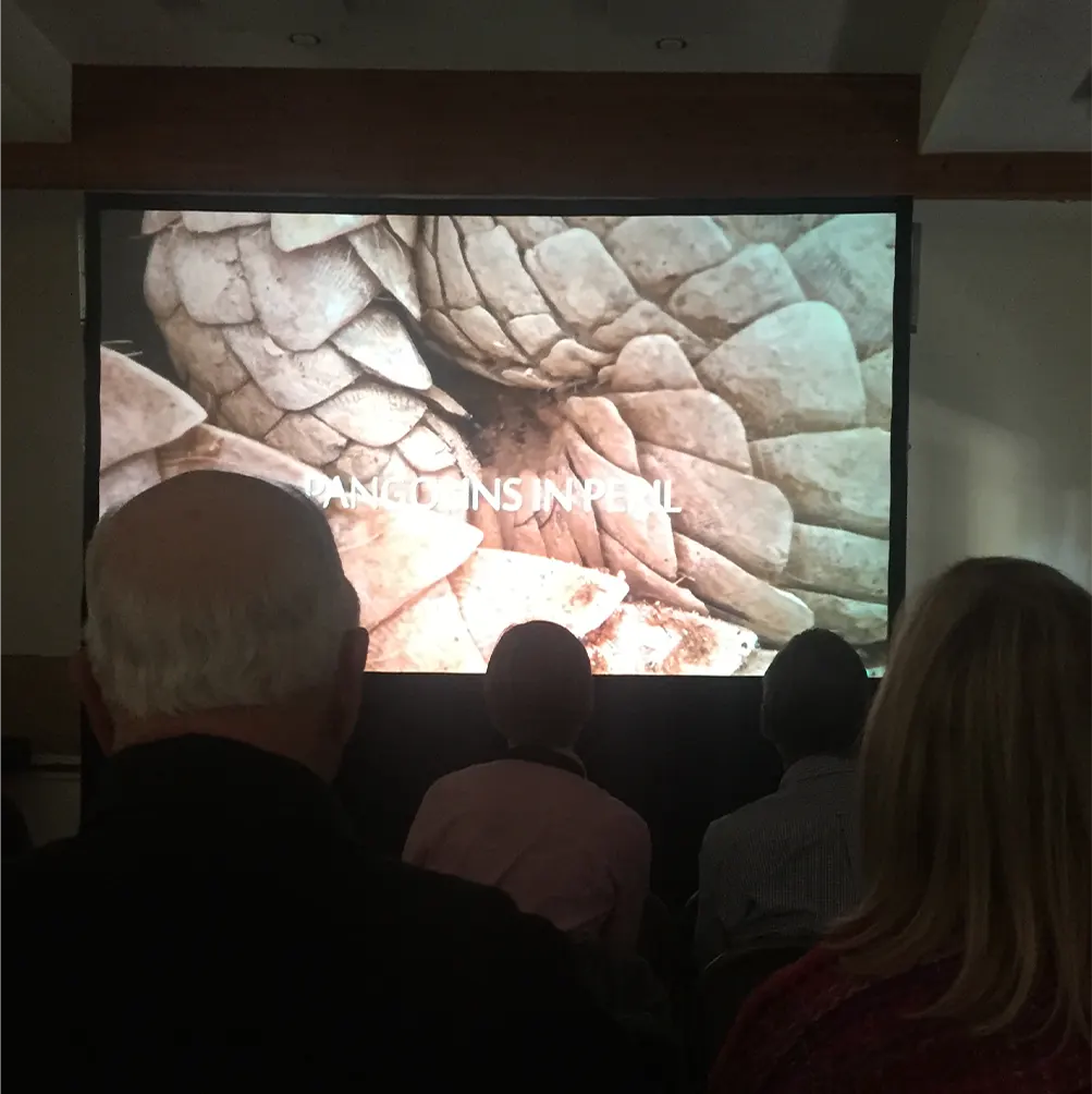 Audience at a screening